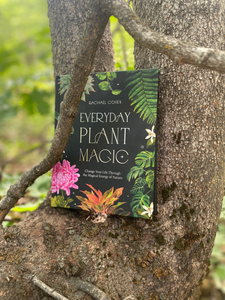 2 Signed Copies, "Everyday Plant Magic"